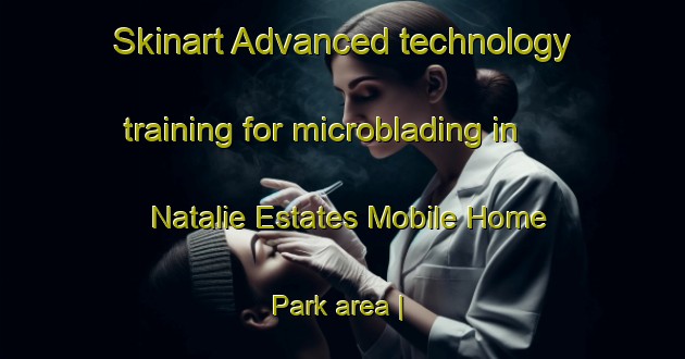 Skinart Advanced technology training for microblading in Natalie Estates Mobile Home Park area | MicrobladingTraining | MicrobladingClasses | SkinartTraining-United States
